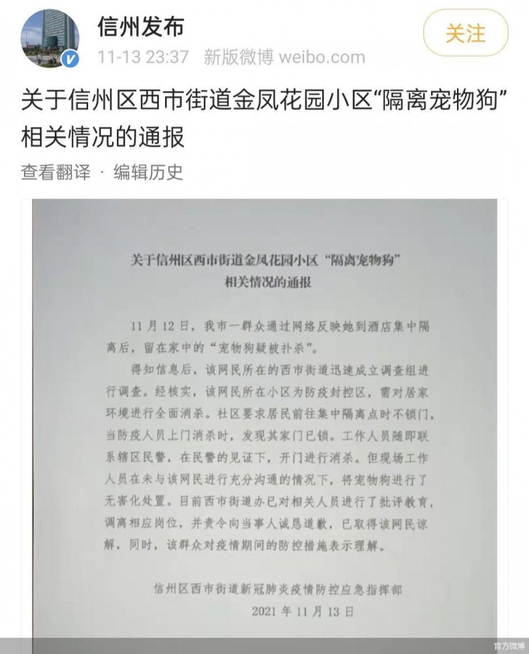 隔离宠物狗被扑杀官方深夜通告什么才是隔离期间宠物处置的正确方式