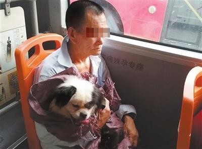 赣州中心城区频现“犬口惊魂” 市民呼吁治理狗患刻不容缓