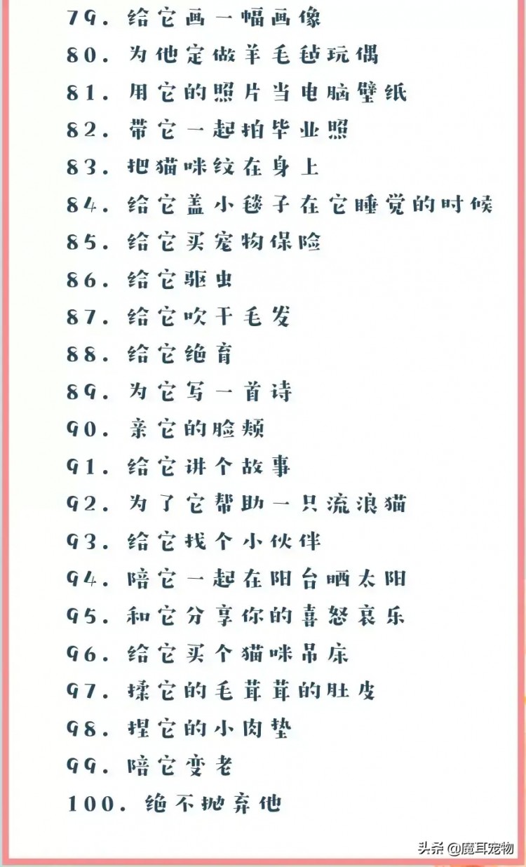 从宠物出生开始我们能为它们做的100件小事