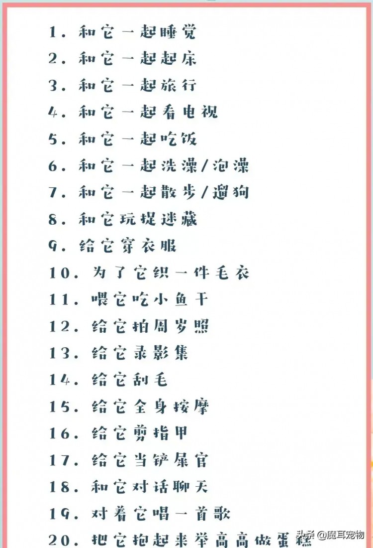 从宠物出生开始我们能为它们做的100件小事