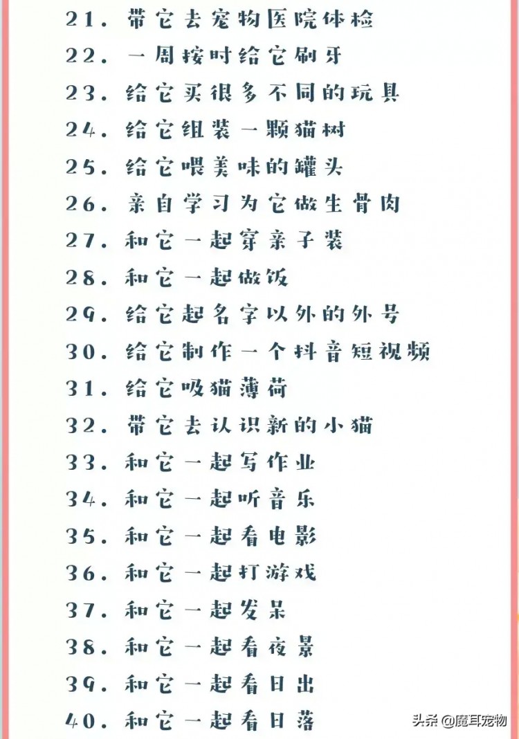 从宠物出生开始我们能为它们做的100件小事